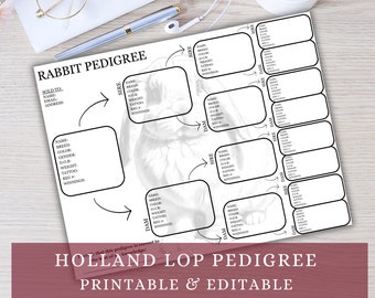 Holland Lop Pedigree, Editable Pedigree, Printable Pedigree, Rabbit Pedigree Template, Rabbit Pedigree, Bunny Pedigree, Pedigree Template