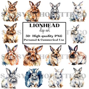 Clipart de coelho Lionhead, imagens de Lionhead, aquarela Lionhead, clipart de coelho, clipart de Lionhead, coelho aquarela, coelho fofo aquarela