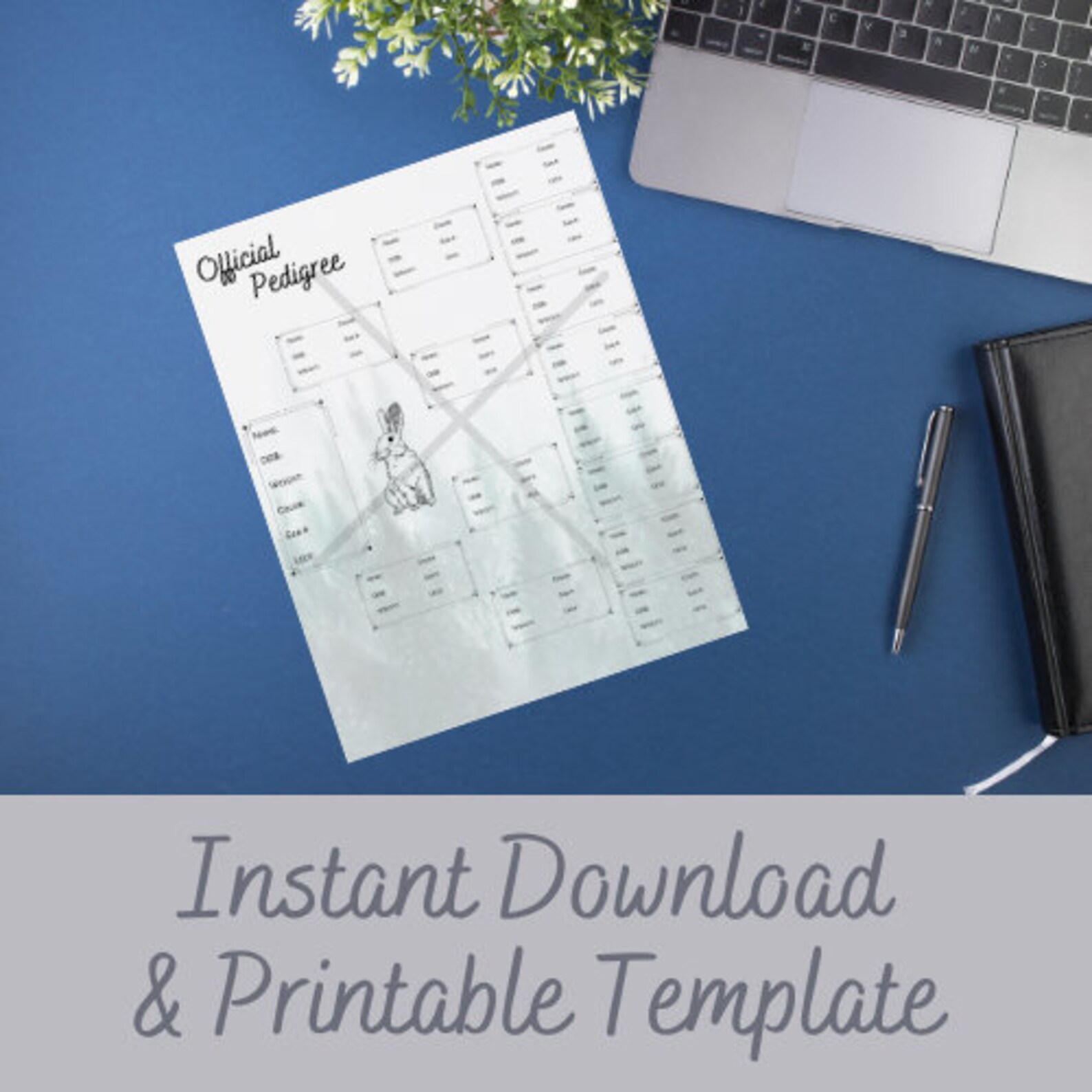 Rabbit Pedigree, Rabbitry, Bunny, ARBA, Breeder, Personalized Pedigree ...