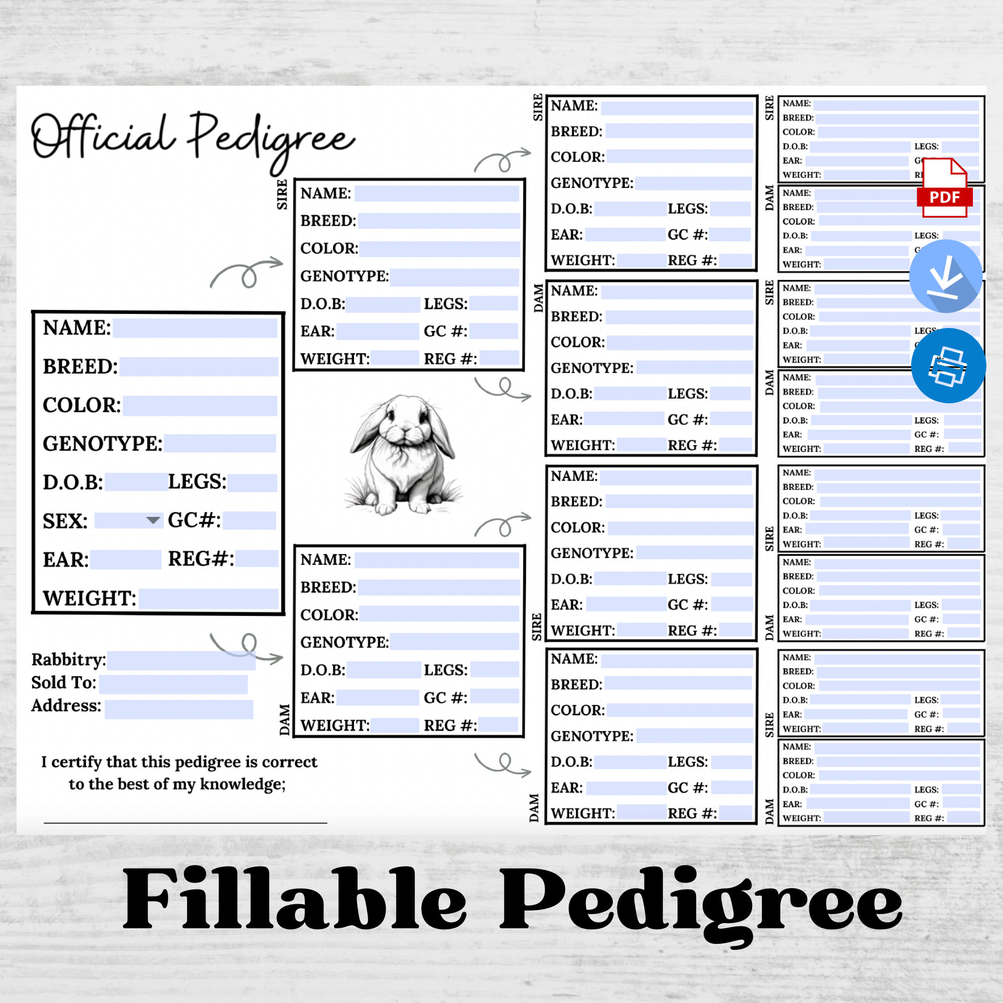 rabbit-pedigree-template-fillable-pedigree-rabbit-pedigree-rabbitry-pedigree-rabbits-rabbitry-etsy