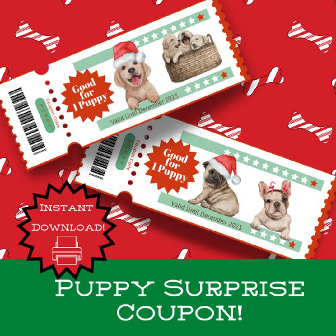 surprise-puppy-christmas-puppy-puppy-surprise-christmas-gift-puppy