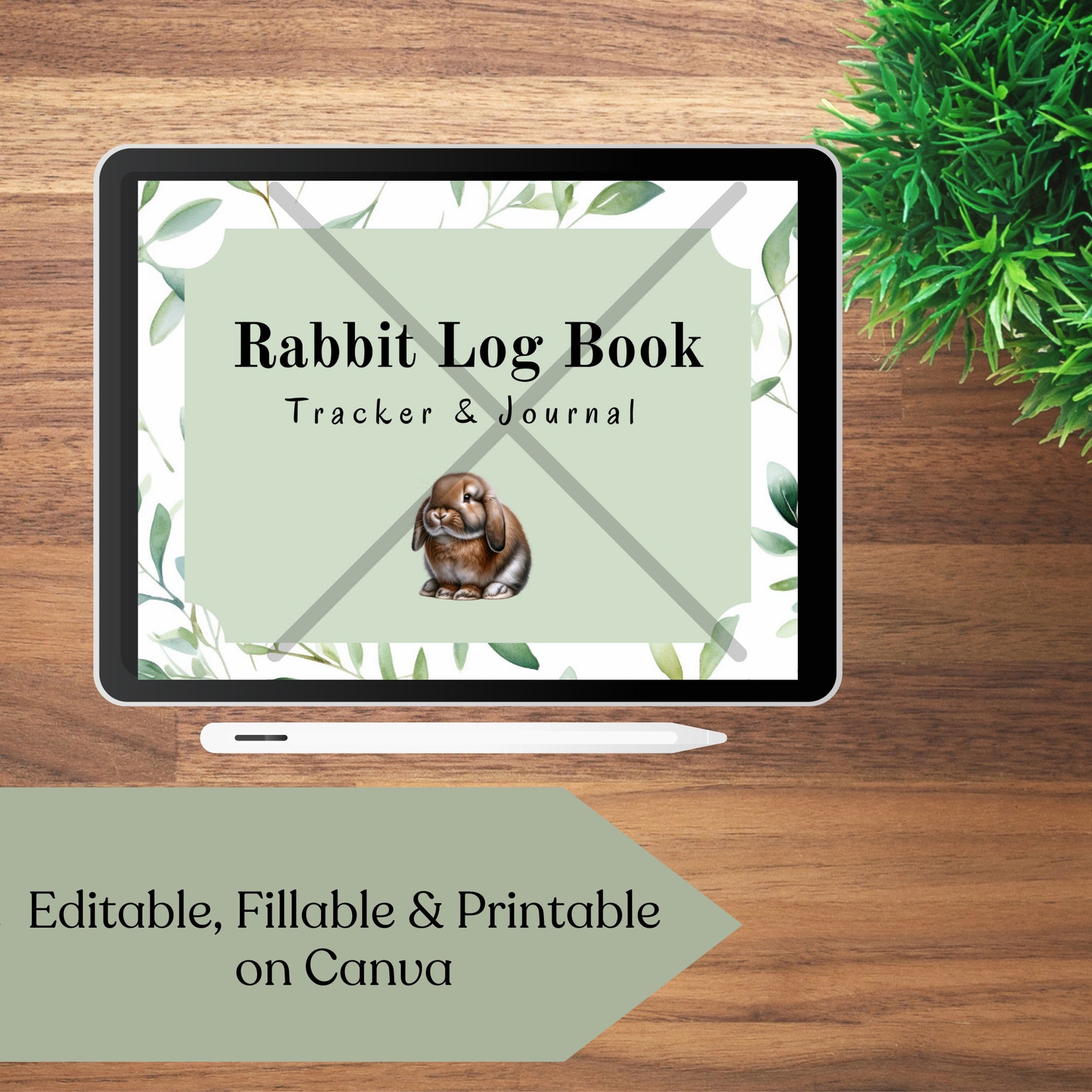 Editable Rabbitry Log Book: Canva Rabbit Breeding Tracker (digital ...