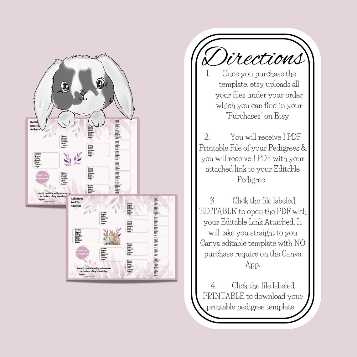 Rabbit Pedigree Pedigree Template Rabbitry Rabbitry Etsy