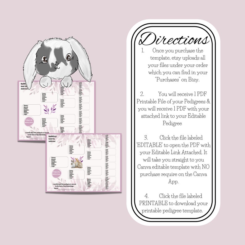 Rabbit Pedigree, Pedigree Template, Rabbitry, Rabbitry Pedigree, Pedigree, Editable Pedigree ...