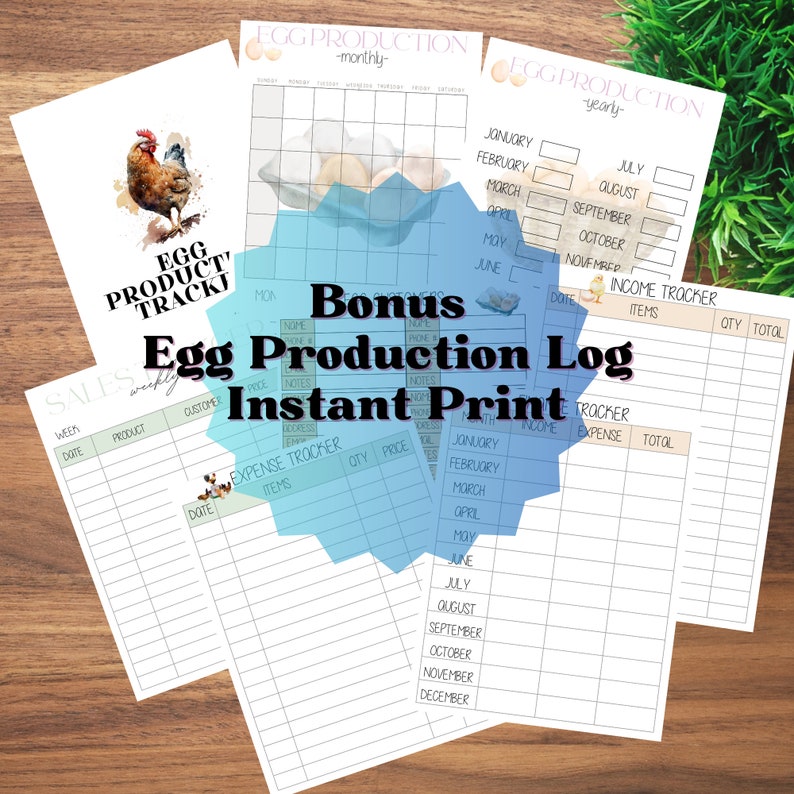 Editable Egg Carton Label, Printable Egg Label, Chickens, Hatching Eggs ...