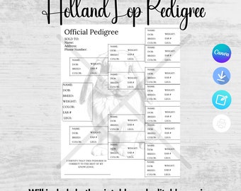 Holland Lop Pedigree, Editable Pedigree, Printable Pedigree, Rabbit Pedigree Template, Rabbit Pedigree, Bunny Pedigree, Pedigree Template