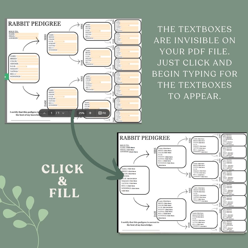 Fillable Rabbit Pedigree Template: Rabbitry Form (PDF) - Etsy