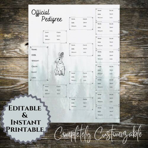 Rabbit Pedigree, Rabbitry, Bunny, ARBA, Breeder, Personalized Pedigree ...