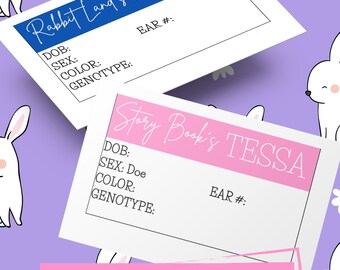 Rabbit Cage Cards - Etsy