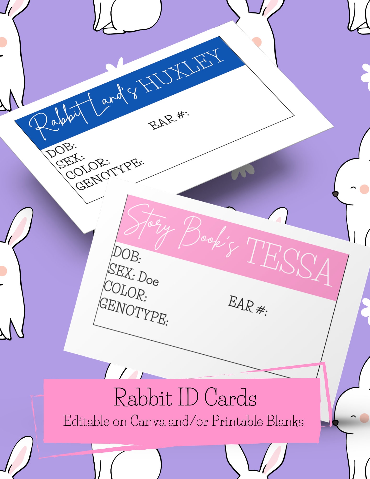 Rabbit ID Cards, Cage Cards, Identification Cards, Rabbitry, Rabbit