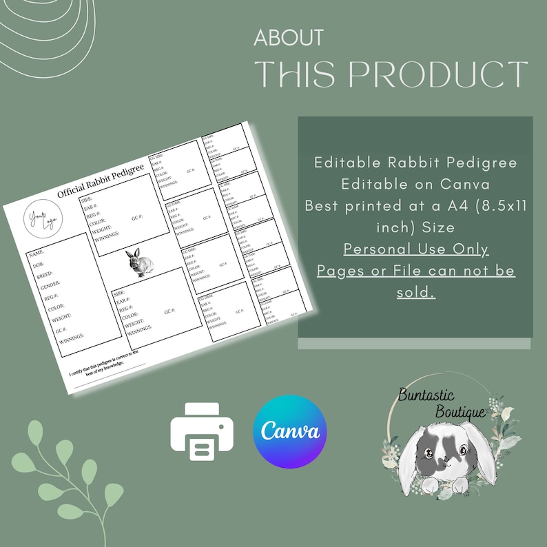 Rabbit Pedigree Template: Editable & Printable (canva) - Etsy
