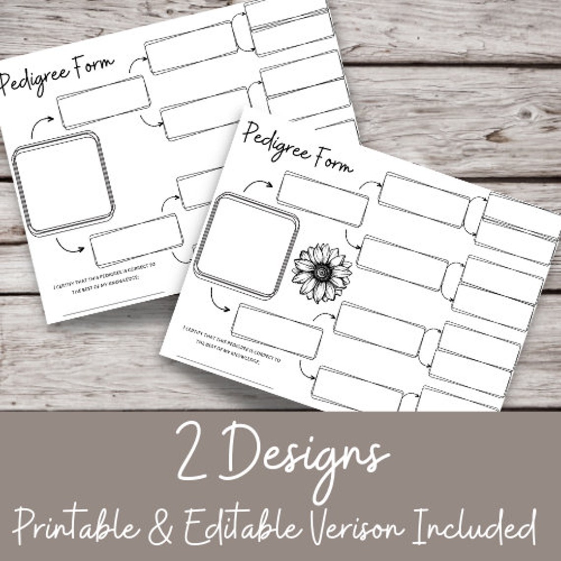 Blank Pedigree Template Pedigree Template Horse Pedigree - Etsy