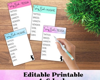 Rabbit Cage Cards, Rabbit Breeder, Rabbit Show Cards, Rabbit ID, Rabbit ID cards, Rabbit Cage ID, arba, 4H Rabbit, Show Rabbit, Showing
