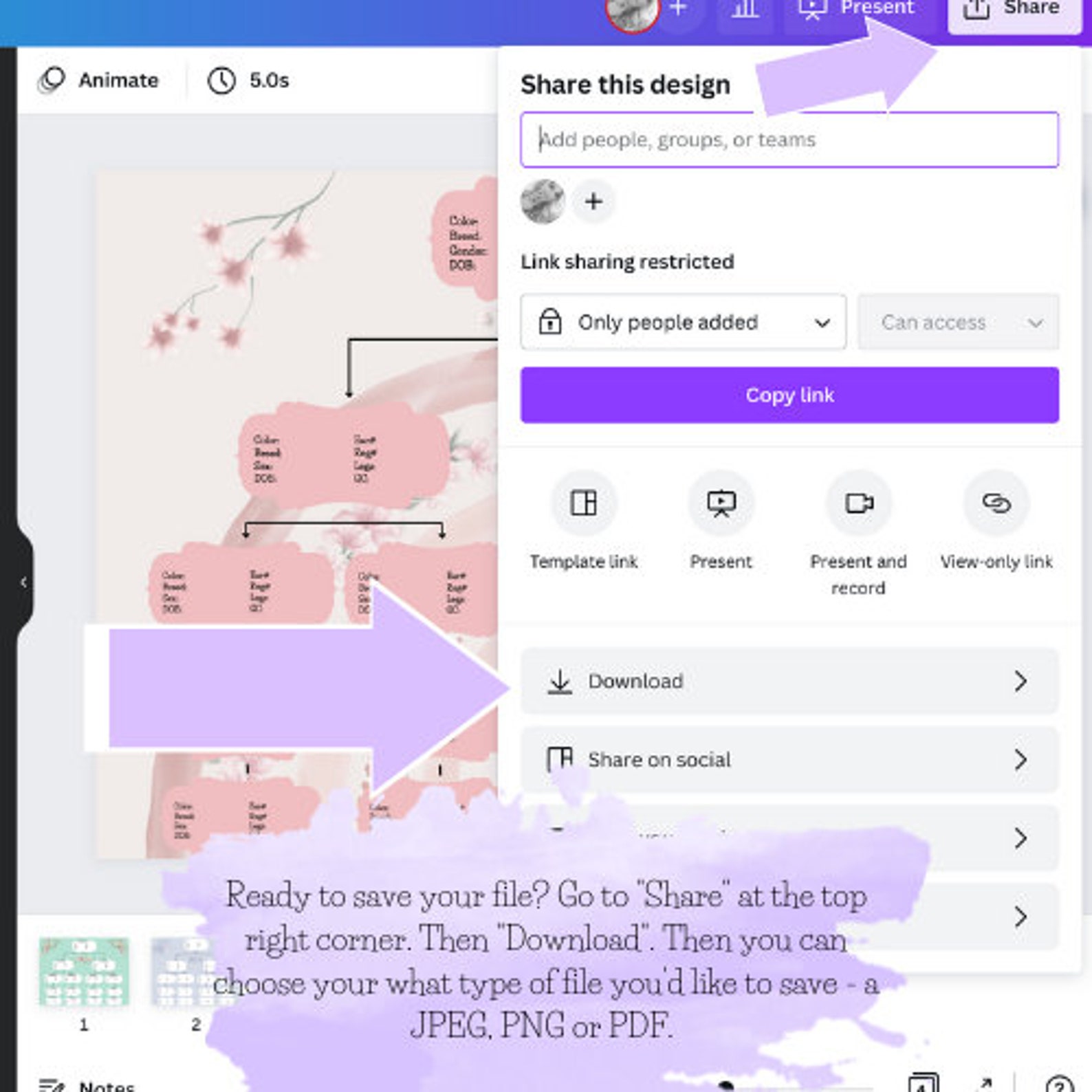 Editable Pedigree, Rabbitry, Rabbit Pedigree, Pedigree, Purebred, ARBA ...