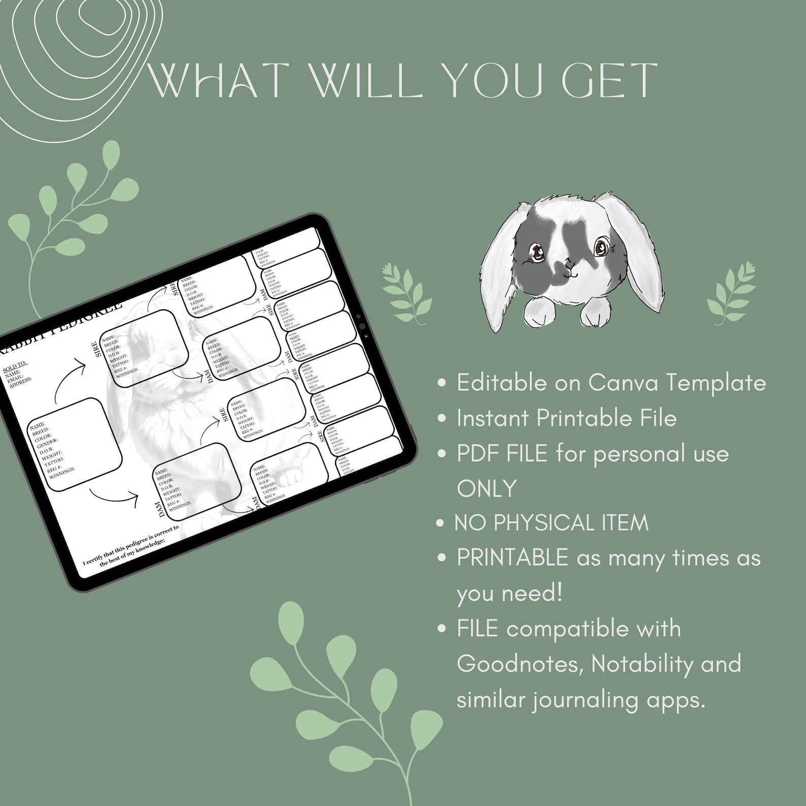 Holland Lop Pedigree Template: Editable Rabbit Lineage (printable PDF ...