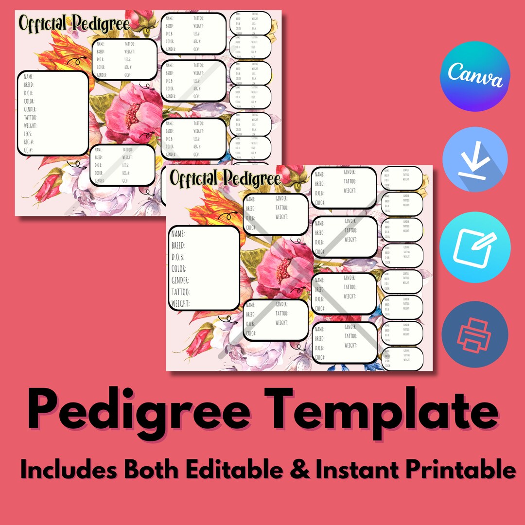 Floral Pedigree Rabbit Pedigree ARBA Rabbit Breeder - Etsy