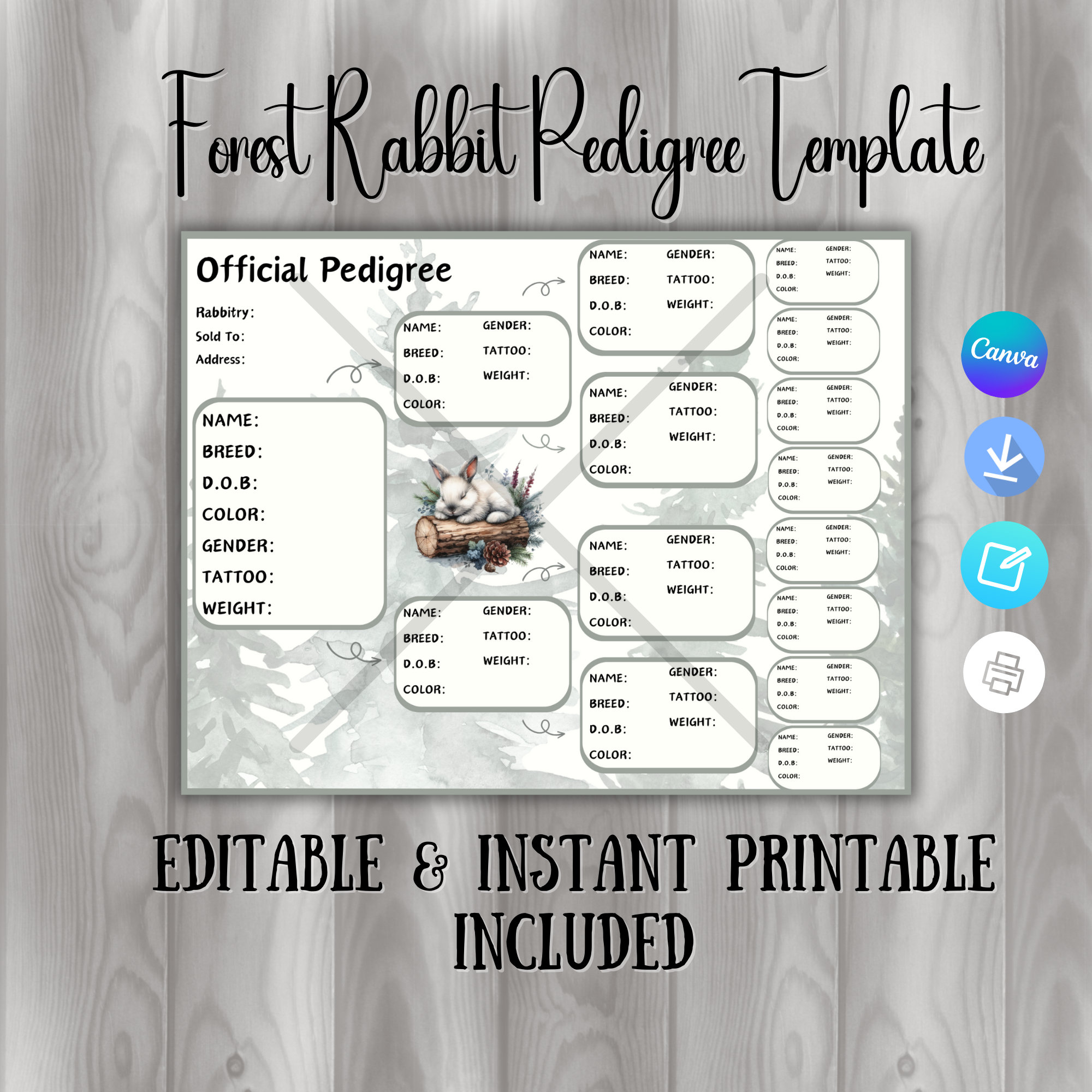 EDITABLE Rabbit Pedigree, Forest Pedigree, Rabbit Pedigree Template, Pedigree Template, Printable Pedigree, Rabbit Breeder, Purebred Rabbit