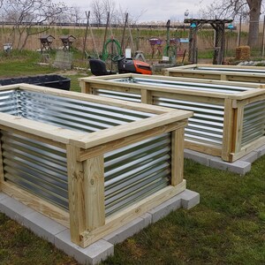 May include: Three raised garden beds made of wood and corrugated metal. The beds are lined up in a row on a grassy lawn.