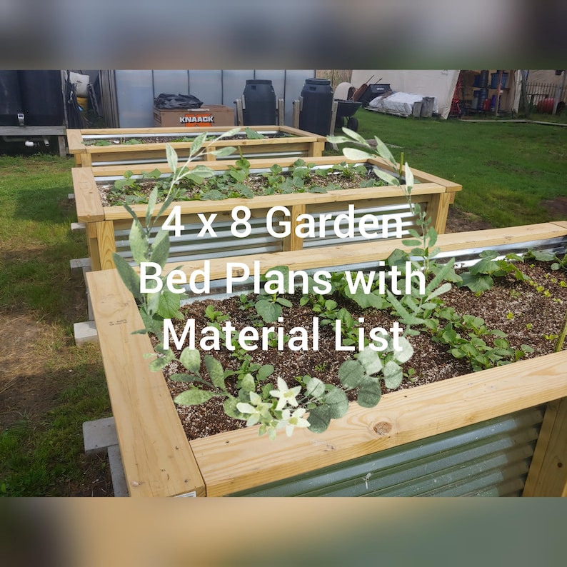 May include: Three raised garden beds made of wood and corrugated metal. The beds are filled with soil and growing plants. The beds are 4 feet by 8 feet and the image includes the text "4 x 8 Garden Bed Plans with Material List".