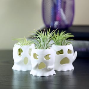 Ghost Air Planter Bundle Set, Spooky Office Decor Idea, Fun Desk Plant Holder, Goth Gardener Gift, Cubicle Decoration, Dark Academia Home