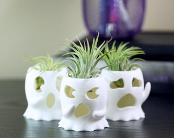 Ghost Air Planter Bundle Set, Spooky Office Decor Idea, Fun Desk Plant Holder, Goth Gardener Gift, Cubicle Decoration, Dark Academia Home