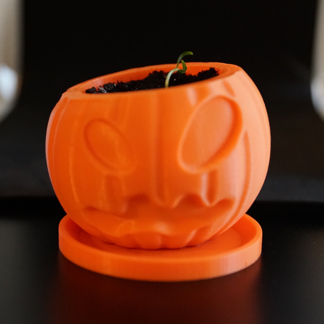 Halloween Planter, Pumpkin Planter, Small Planter, Desk Planter, 3D