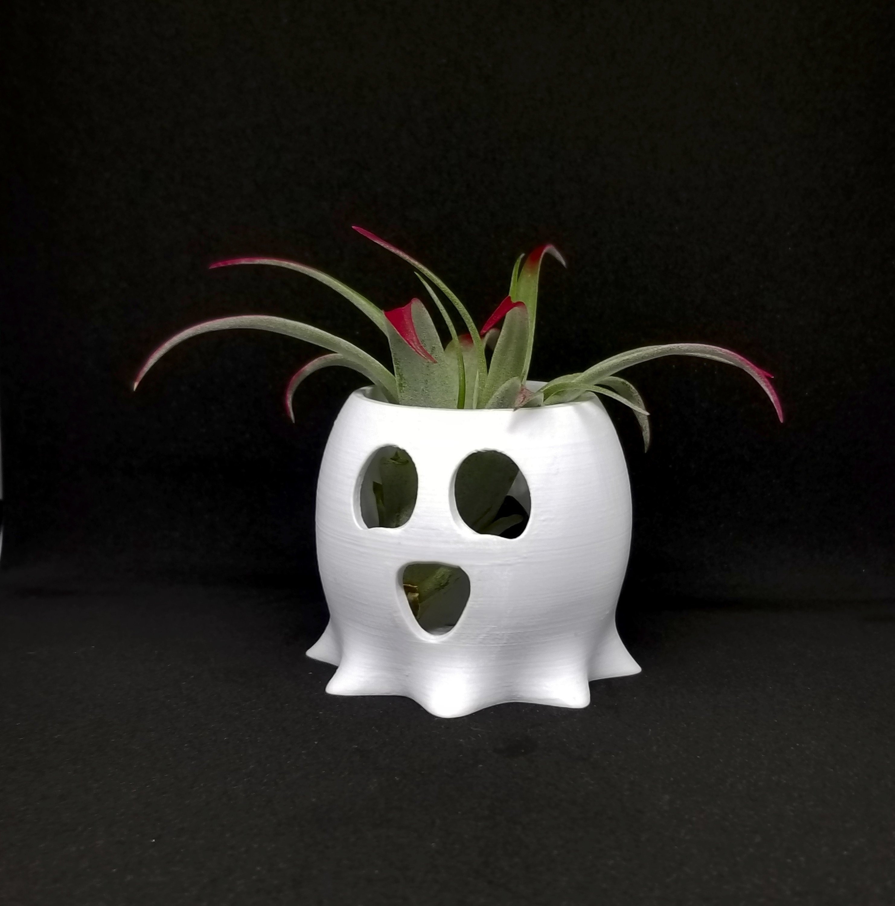 Halloween Succulent Air Planter Ghost Planer Decor Desk Etsy