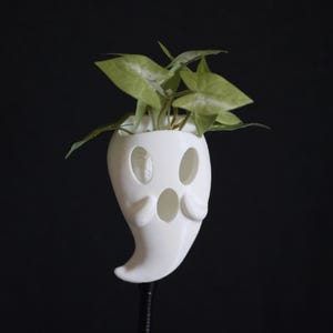May include: A white, ghost-shaped planter with three facial cutouts and a curved bottom. The planter holds a green plant with light green and white leaves. The background is black.