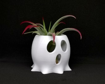 Air Plant Holder Ghost Halloween Desktop and Office Decor, Spooky and Creepy Planters