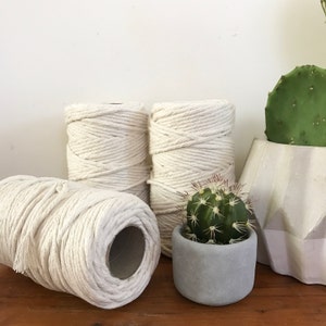 May include: Three spools of natural cotton rope, each wound around a cardboard tube. The rope is thick and has a natural, off-white color. The spools are sitting on a wooden surface next to a small potted cactus.