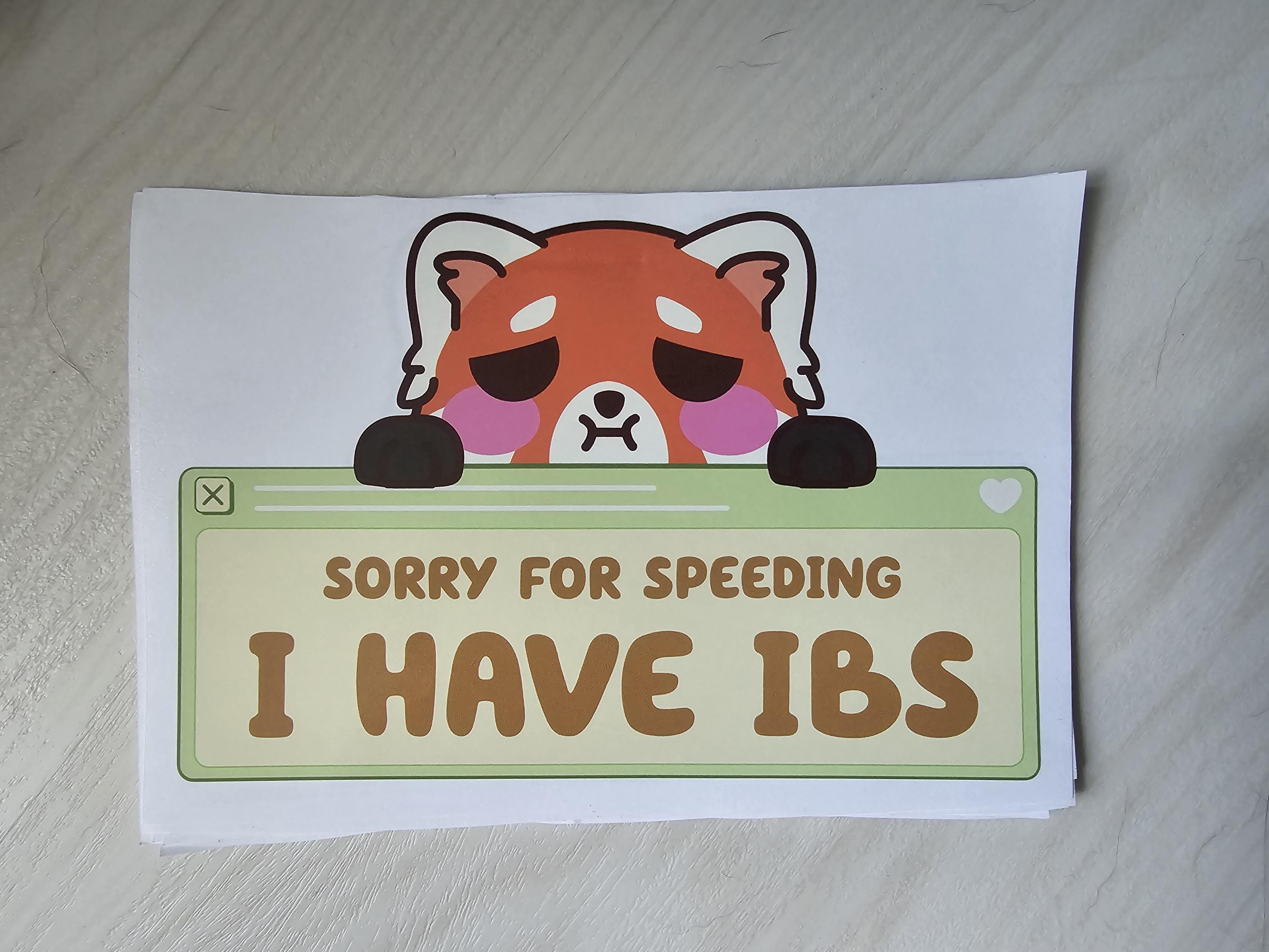 Sorry for Speeding I Have IBS Bumper Sticker - Etsy