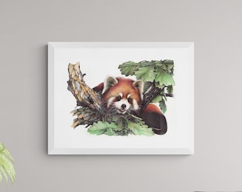 Red Panda Original Artwork | Ballpoint Pen Drawing on Paper | Realistic Animal Portrait | Wildlife Illustration | Wall Mounted Home Decor