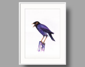 Common Myna original artwork, ballpoint pen drawing on paper