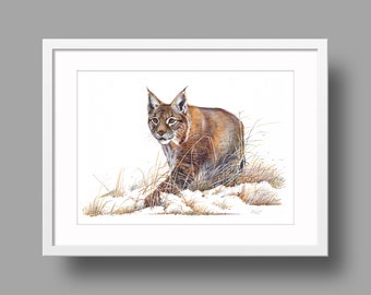 Eurasian Lynx Original Artwork | Ballpoint Pen Drawing on Paper | Realistic Animal Portrait | Wall Mounted Home Decor