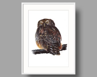 Eurasian Pygmy Owl original artwork | Ballpoint pen drawing on white recycled paper | Realistic bird portrait | Wall mounted home decor