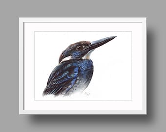 Javan Blue-Banded Kingfisher Original Artwork | Ballpoint Pen Drawing on White Paper | Realistic Bird Portrait | Wall Mounted Home Decor