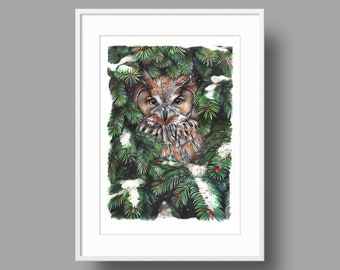 Owl In Spruce Branches | Original artwork | Bird Portrait | Ballpoint pen drawing on white recycled paper | Wall mounted home decor