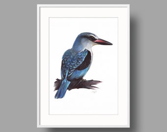 Woodland Kingfisher Original Artwork | Ballpoint Pen Drawing on White Paper | Realistic Bird Portrait | Wall Mounted Home Decor