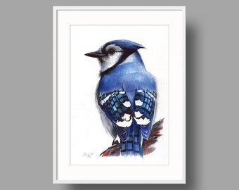 Blue Jay Original Artwork | Ballpoint Pen Drawing on White Paper | Realistic Bird Portrait | Wall Mounted Home Decor