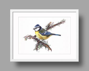 Eurasian Blue Tit Original Artwork | Ballpoint Pen Drawing on White Recycled Paper | Realistic Bird Portrait | Wall Mounted Home Decor