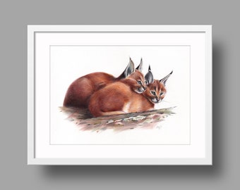 Caracal origineel kunstwerk. Balpentekening op papier. Fotorealistisch dierenportret. Wildlife illustratie.