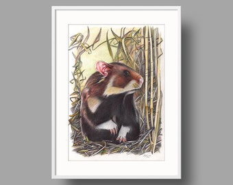 European Hamster Original Artwork | Ballpoint Pen Drawing on White Paper | Realistic Animal Portrait | Wall Mounted Home Decor