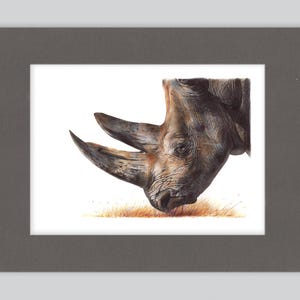 Stampa artistica di rinoceronte bianco / Disegno a penna a sfera / Ritratto di animale fotorealistico / Illustrazione di fauna selvatica / Decorazione per la casa