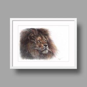 Opere d'arte originali del leone africano / Disegno con penna a sfera su carta riciclata bianca / Ritratto di animale realistico / Decorazioni per la casa montate a parete