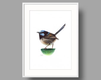 Superb Fairywren Original Artwork | Ballpoint Pen Drawing on White Recycled Paper | Realistic Bird Portrait | Wall Mounted Home Decor