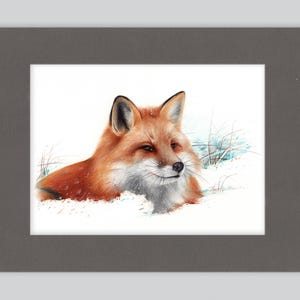 Stampa artistica di volpe rossa / Disegno con penna a sfera / Ritratto di animale fotorealistico / Illustrazione di fauna selvatica / Decorazione per la casa