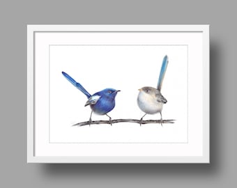 Prachtige Fairywren originele kunstwerk | Balpentekening op wit gerecycled papier | Realistisch vogelportret | Aan de muur gemonteerde woondecoratie