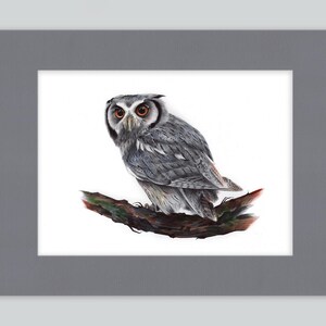 Stampa artistica di gufo eurasiatico / Disegno con penna a sfera / Ritratto di animale fotorealistico / Illustrazione di fauna selvatica / Decorazione per la casa