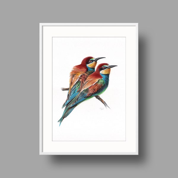 European Bee-eater original artwork | Ballpoint pen drawing on white recycled paper | Realistic bird portrait | Wall mounted home decor