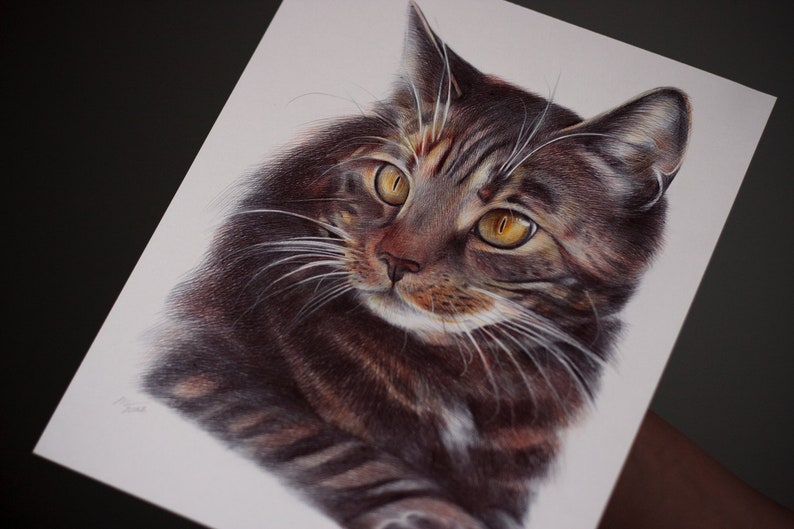 Domestic Cat original artwork. Ballpoint pen drawing on paper. Photorealistic animal portrait. Wildlife illustration. image 4